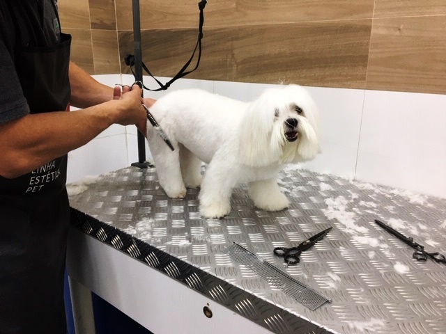 centro estético Pet Station